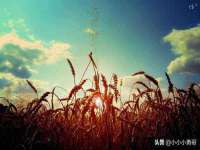 徐州鼎沃文化传媒有限公司