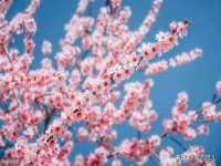 徐州鼎沃文化传媒有限公司