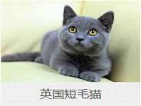 徐州鼎沃文化传媒有限公司