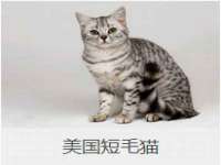 徐州鼎沃文化传媒有限公司