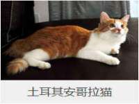 徐州鼎沃文化传媒有限公司