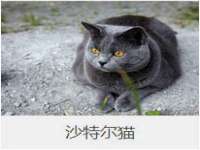 徐州鼎沃文化传媒有限公司