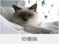 徐州鼎沃文化传媒有限公司