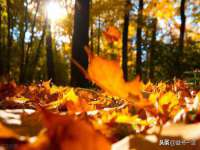 徐州鼎沃文化传媒有限公司