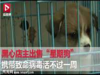 徐州鼎沃文化传媒有限公司