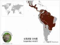 徐州鼎沃文化传媒有限公司