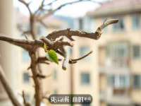 徐州鼎沃文化传媒有限公司