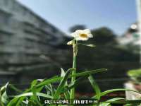 徐州鼎沃文化传媒有限公司