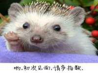徐州鼎沃文化传媒有限公司