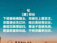 徐州鼎沃文化传媒有限公司