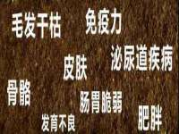 徐州鼎沃文化传媒有限公司