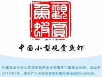 徐州鼎沃文化传媒有限公司