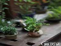 徐州鼎沃文化传媒有限公司