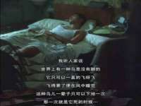 徐州鼎沃文化传媒有限公司