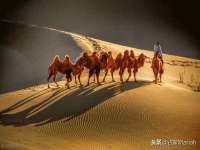 徐州鼎沃文化传媒有限公司