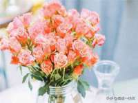徐州鼎沃文化传媒有限公司