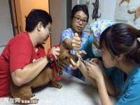徐州鼎沃文化传媒有限公司