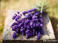 徐州鼎沃文化传媒有限公司